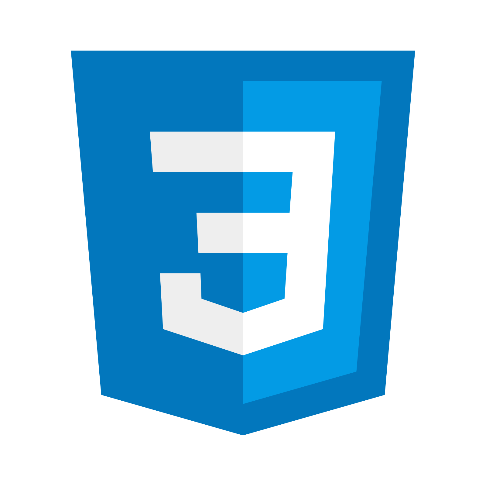 css3 Logo